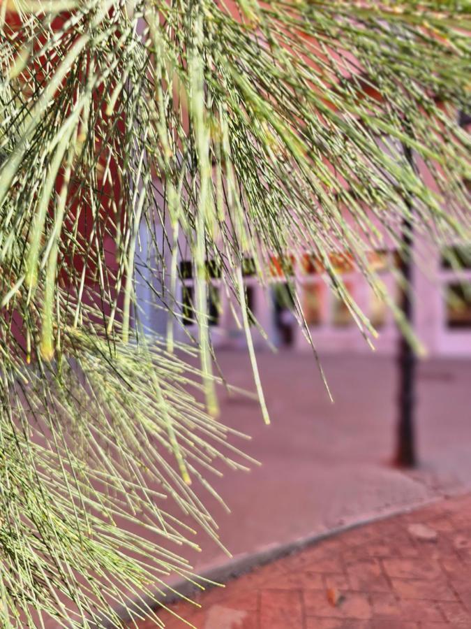 Lounge Garden Sea Mint Fresh Apartment Valencia Ngoại thất bức ảnh