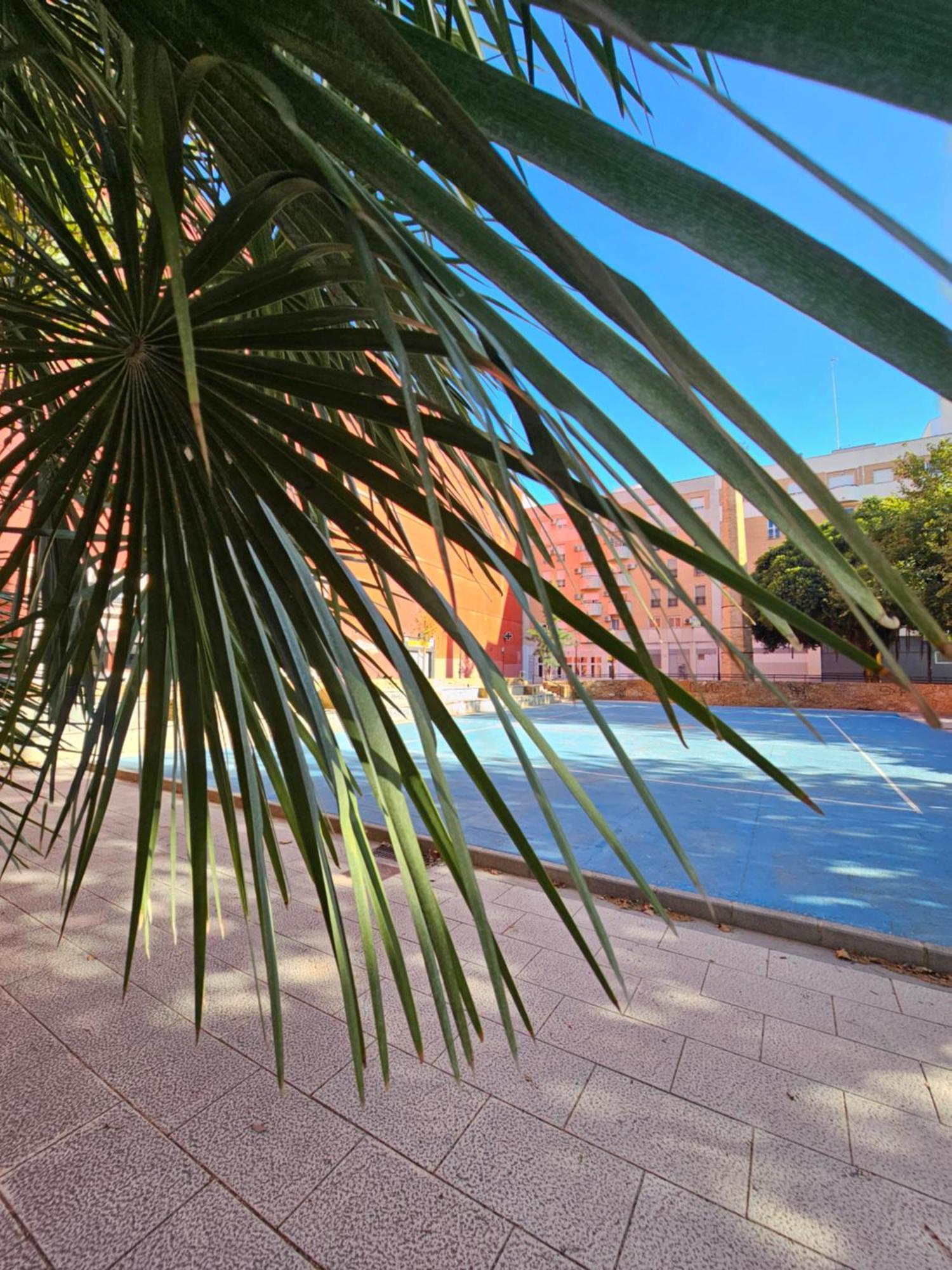 Lounge Garden Sea Mint Fresh Apartment Valencia Ngoại thất bức ảnh
